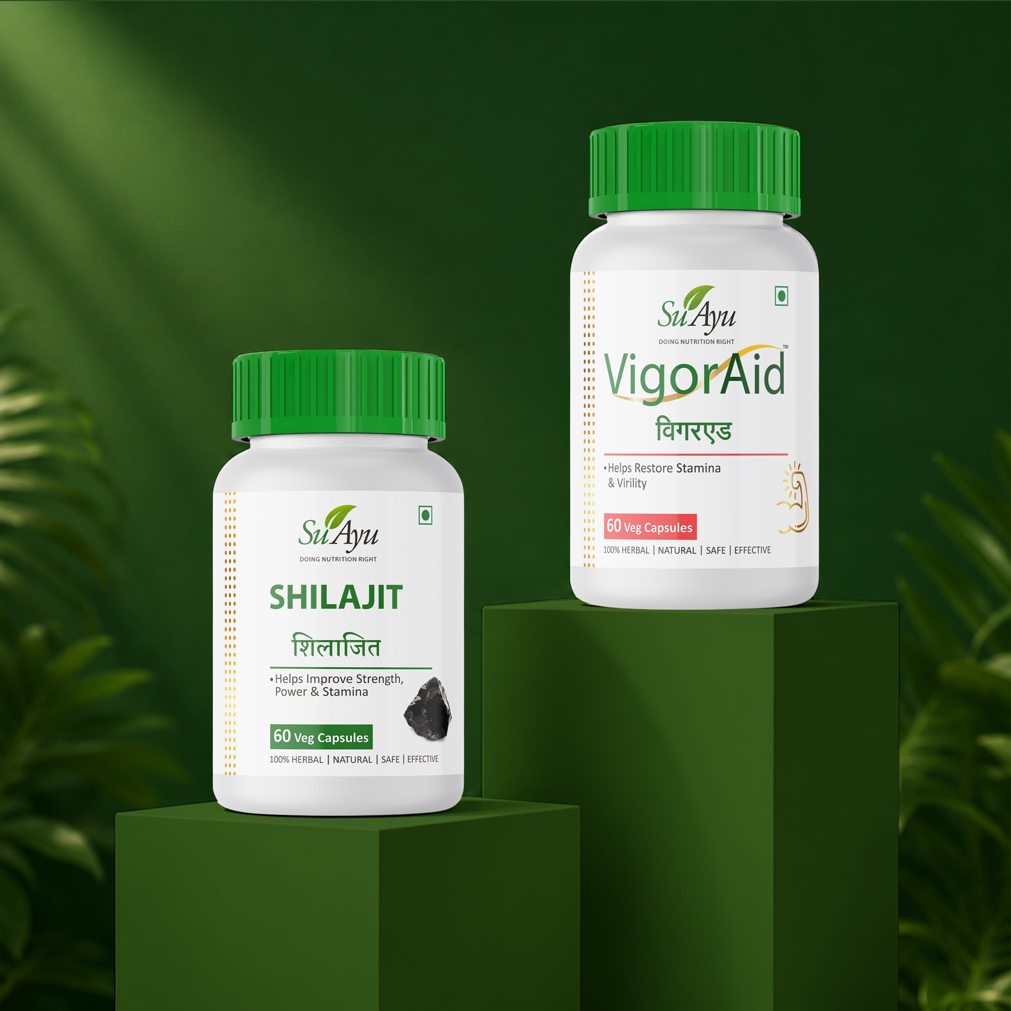 VigorAid + Shilajit Combo