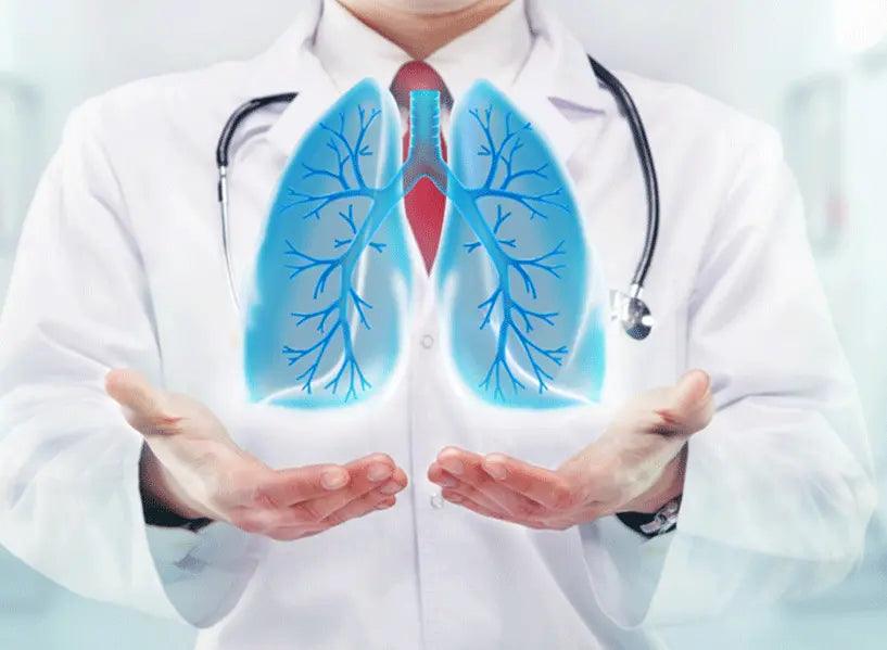 Immune System And Ayurveda