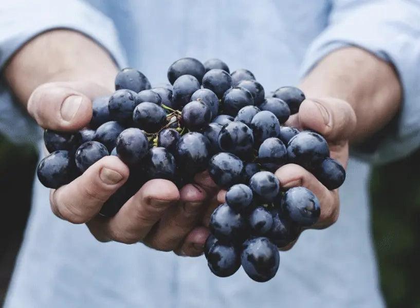 Are You Healthy? Know How To Stay Healthy...