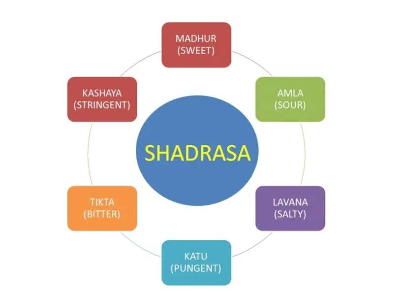 Shadrasa – Six Taste