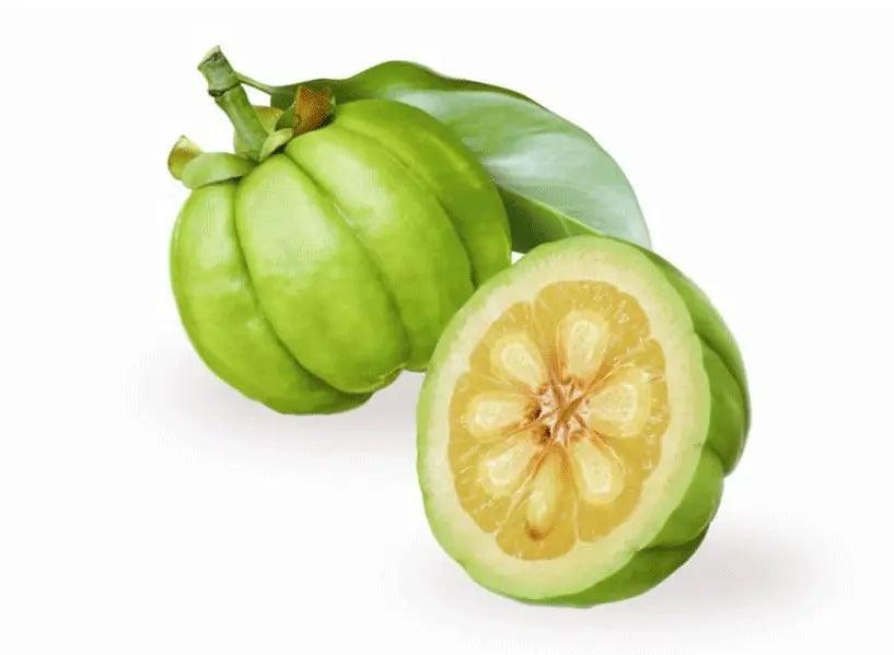 Garcinia Cambogia The Herb Of Ayurveda- Vrikshamla