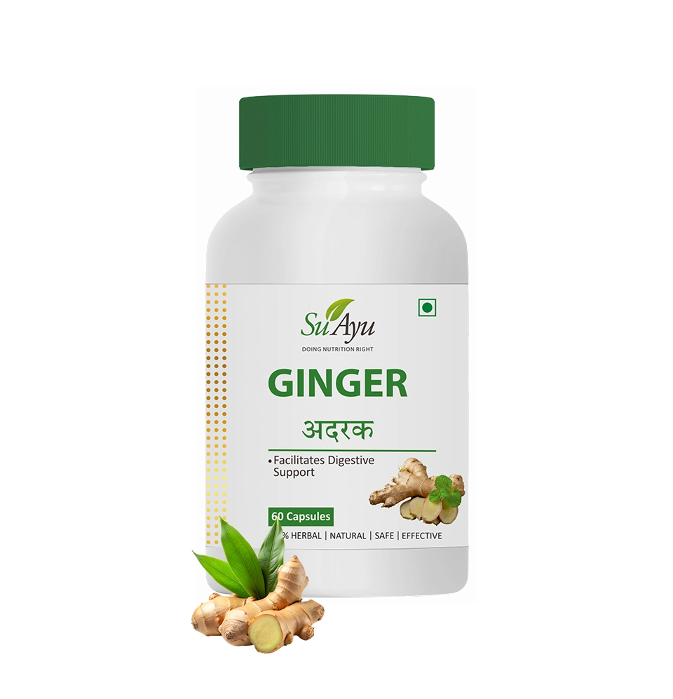 Ginger - SuAyu