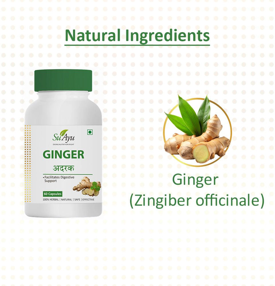 Ginger - SuAyu