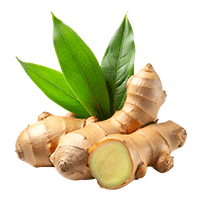 Sonth (Dry Ginger Powder)