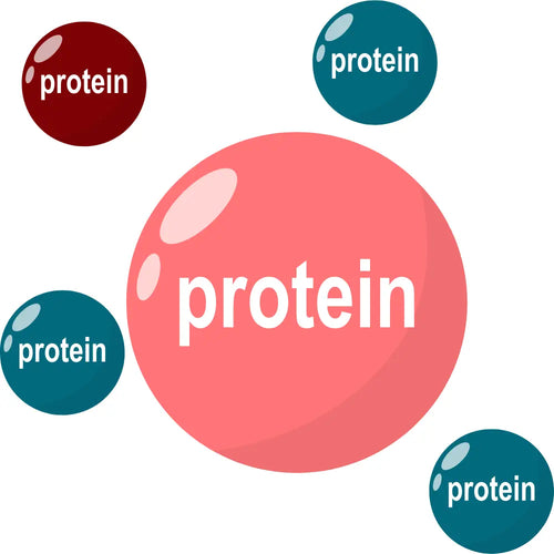Protein Blend