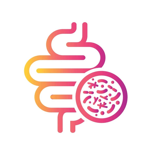 Digestion Blend